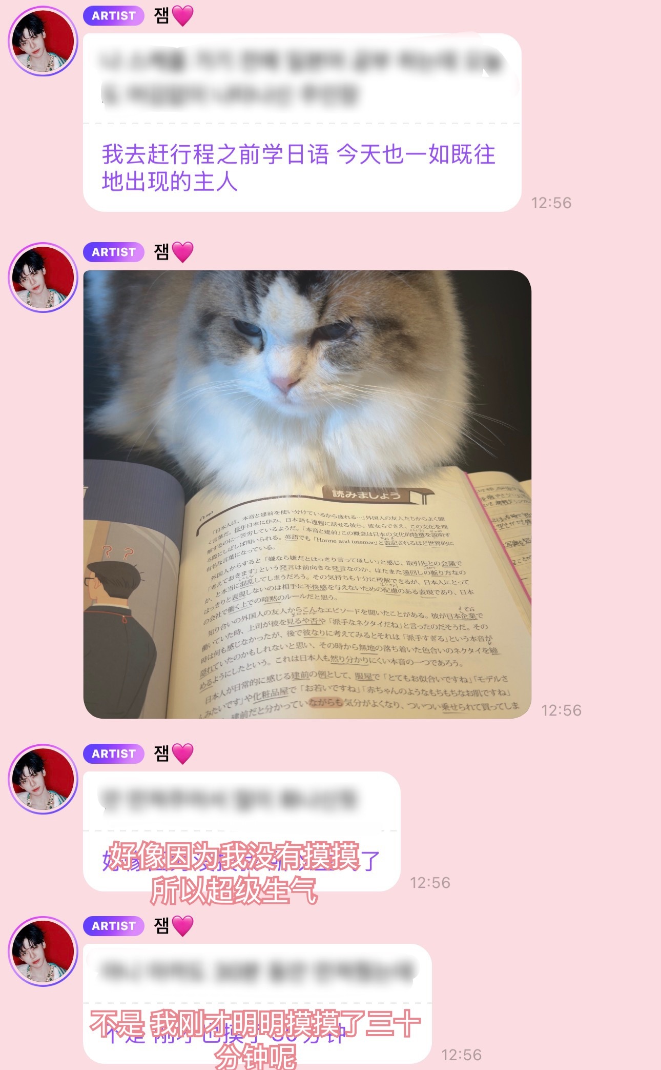 监督日语学习的主人🫡 