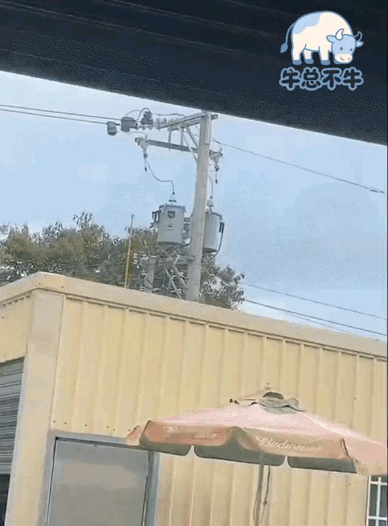 这直接气化啦？