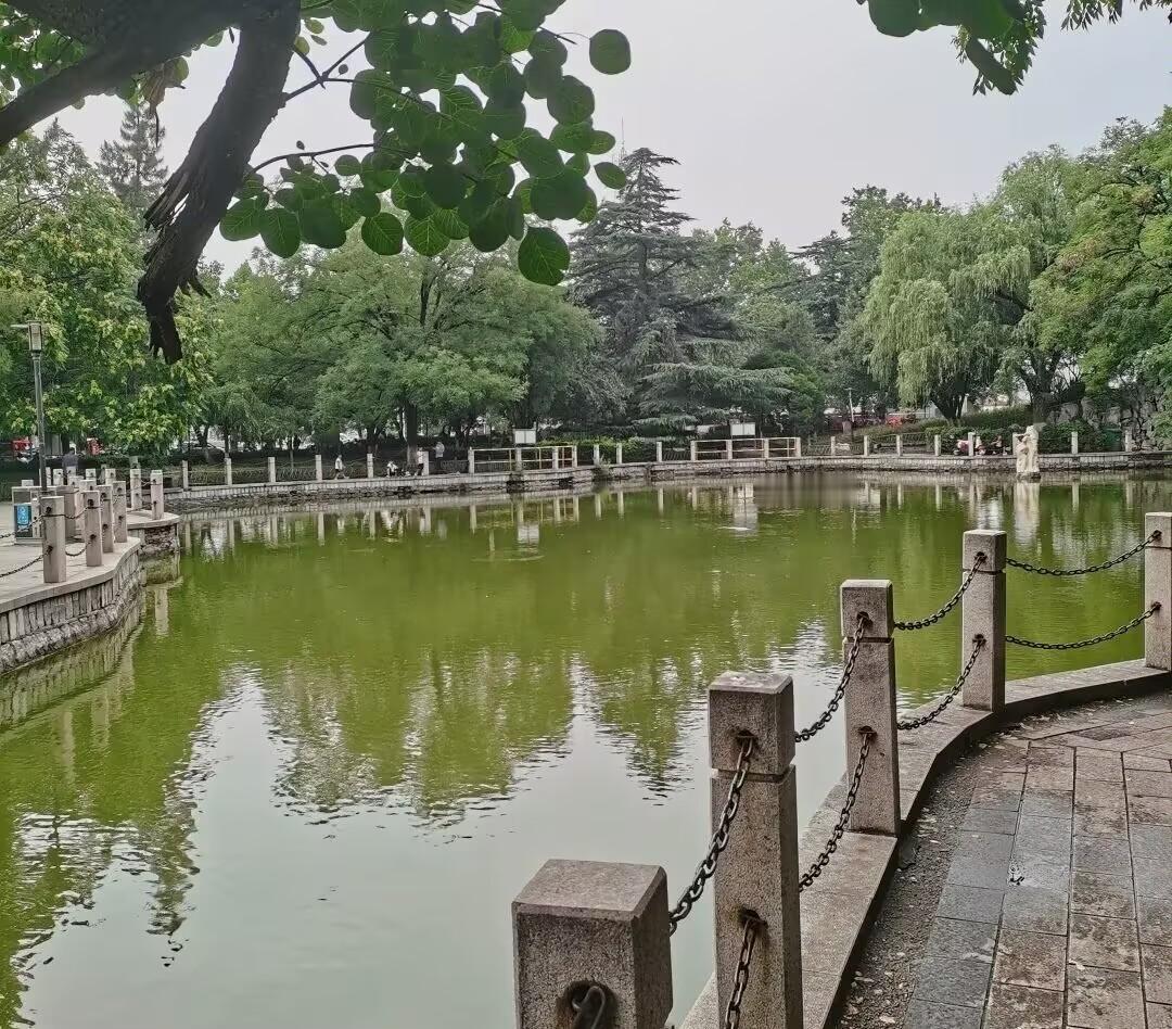 【喜迎秋天】

着气消融换素天，清风漫卷过山川。
池荷渐敛芳华韵，野稻初垂饱满尖