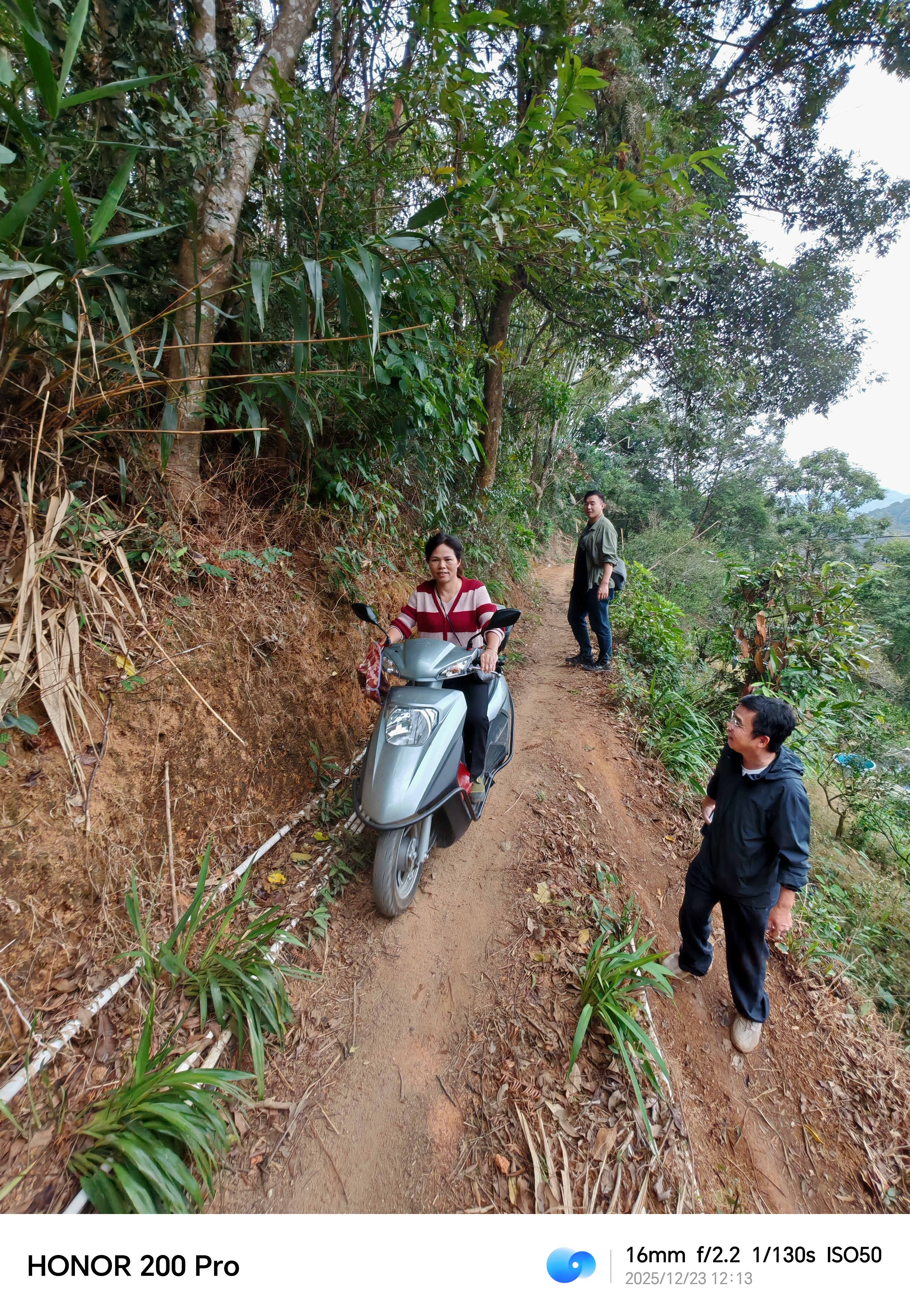 浦北陈皮老树富硒 浦北县平睦镇良村狗鼻梁，梁呈龙家族的老树大红柑果园深藏于六万大