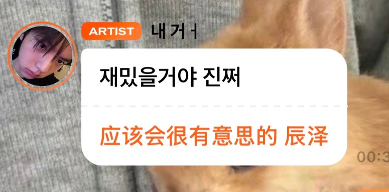 韩维辰你就勾引我吧谁去把飞机票打下来  专栏 · 小兔幸福存档♡