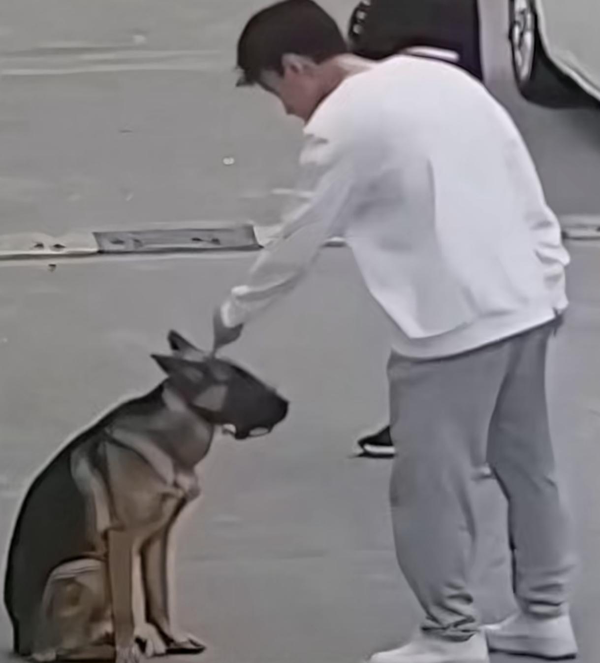 狗狗犯错被主人“训斥”
一旁的小孩哥“跪下”求情
叔：别再说了,给个面子，原谅它