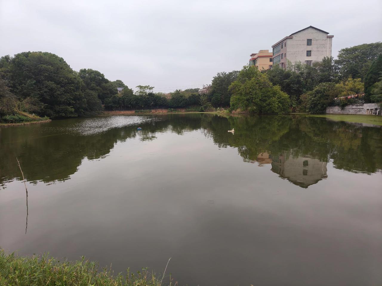 我现在已经不和别人争吵了，因为我开始意识到，每个人都只能站在自己的认知角度上考虑