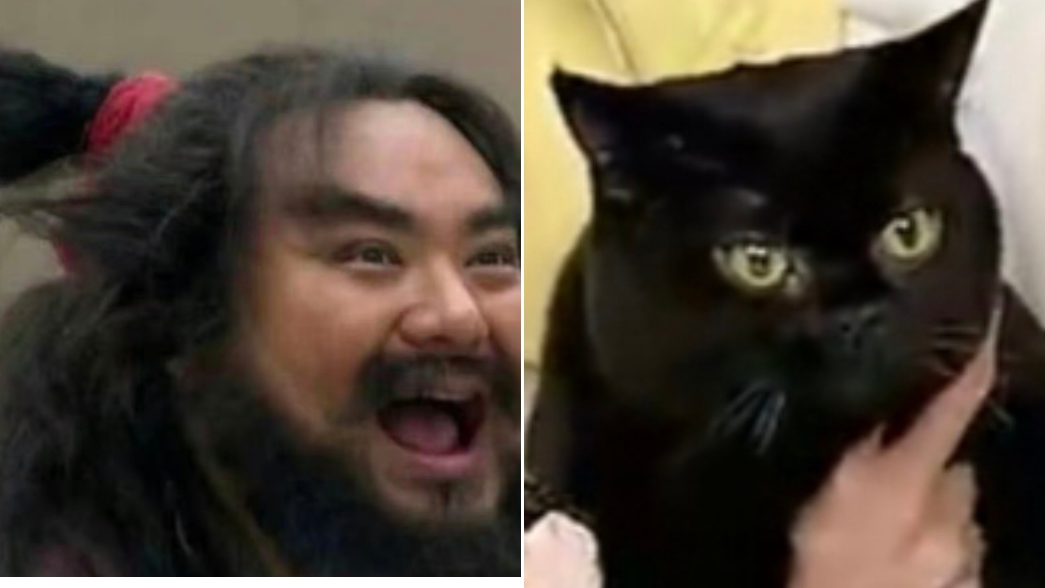 像不像，艾玛，笑死我了，突然想到烧烧和老童以前用的头像有点像 