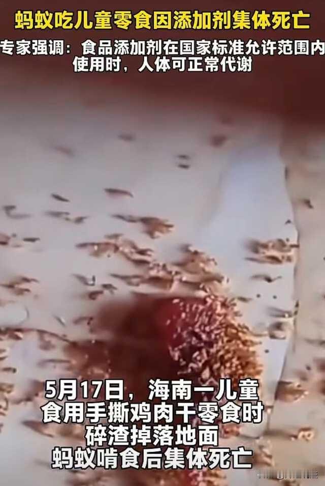 儿童零食堪比杀虫剂？海南海口，一位宝妈给孩子拿了一包手撕牛肉干，孩子不慎掉到地上