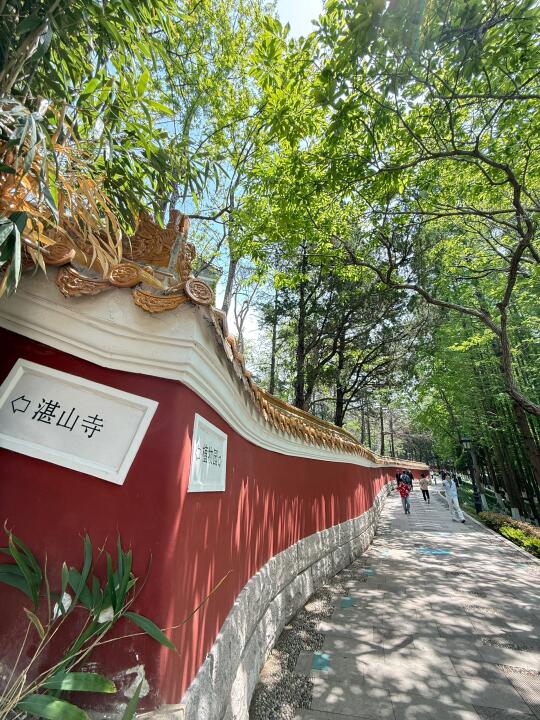 来青岛别去人挤人了！这里🆓风景独好！