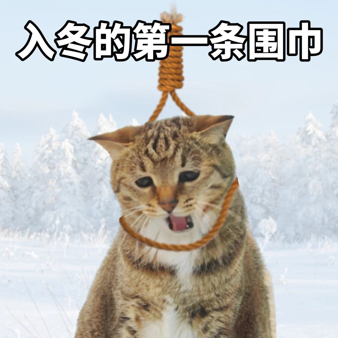 降温速冻表情包