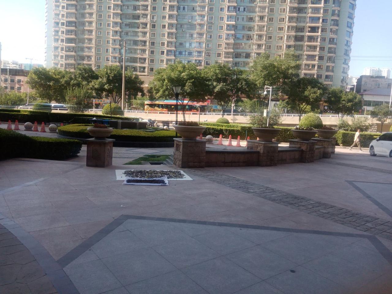 吃喝玩乐分享计划