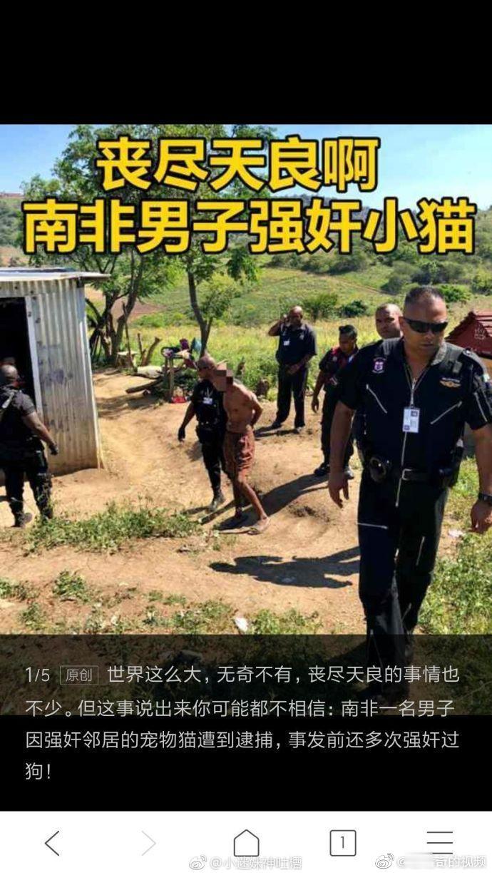 一男子竟然对猫做出不可描述的事情..... ​​​