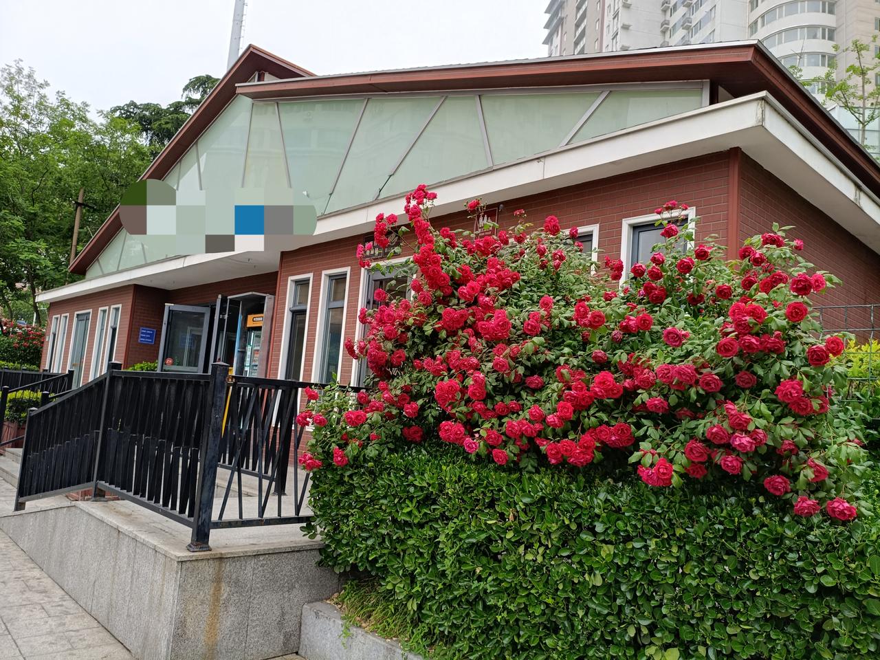 你能知道这个挺别致的、门口鲜花盛开的建筑是什么吗？

    我忍不住的拍下来，