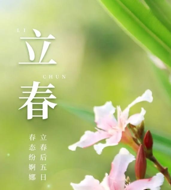 今日立春，今天的阳光明媚，清风伴着暖阳吹拂着我的脸颊，瞬间感觉到暖和和的很清爽。