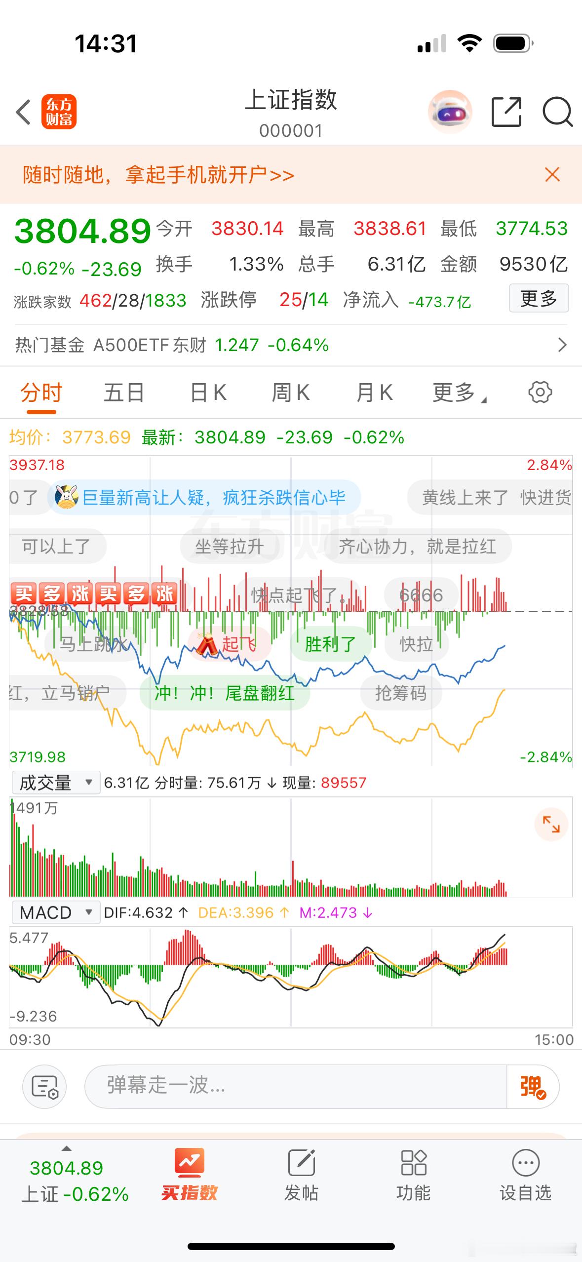 台风还没来 就这么惨烈……[二哈] ​​​