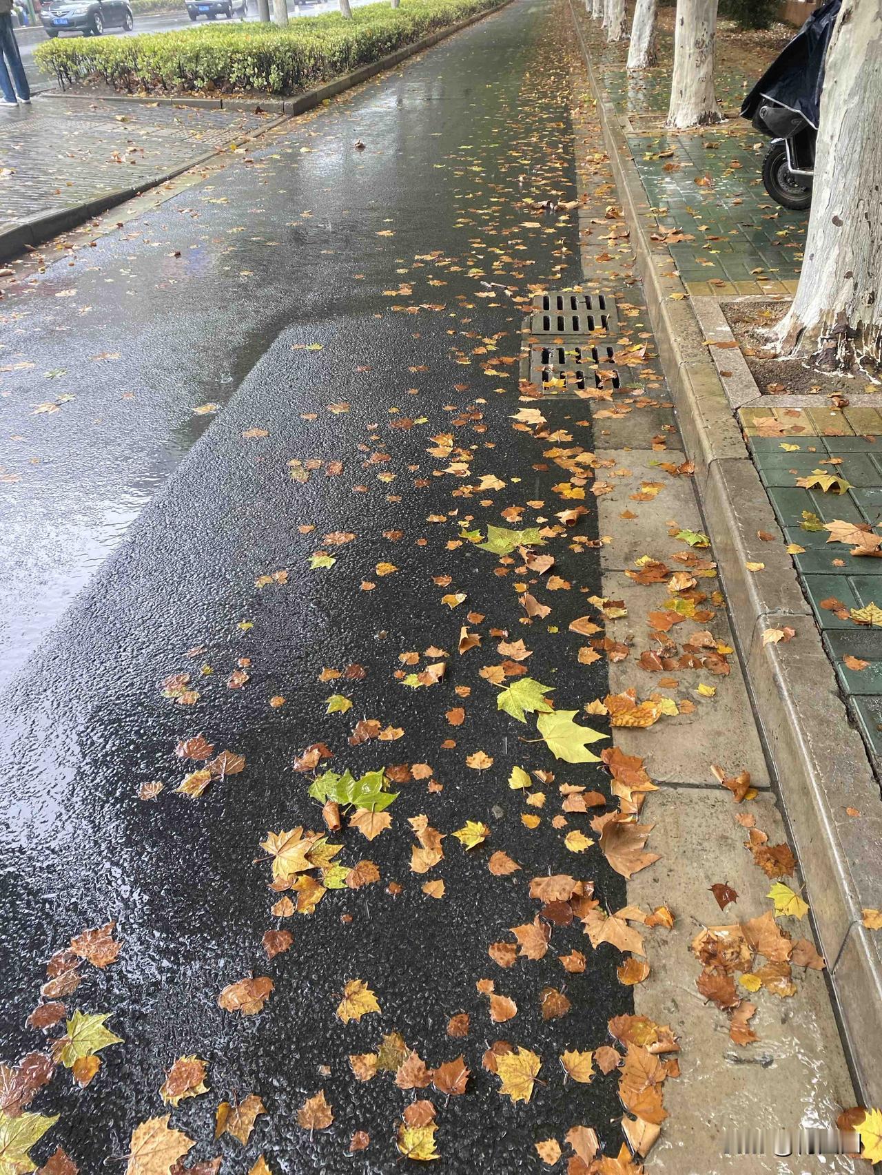 外貌是天生的，不管是美还是丑，从出生就已经是事实了。不过现在医学技术水平高，可以