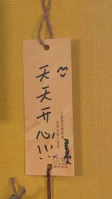 王玉雯新年祝福王玉雯小学生字体 王玉雯小学生字体 