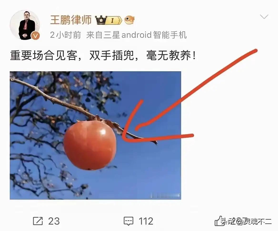 高处的柿子隐喻为高市，你这是赤裸裸地力挺日方言论的意思吗？毫无遮掩呀，对于这种败