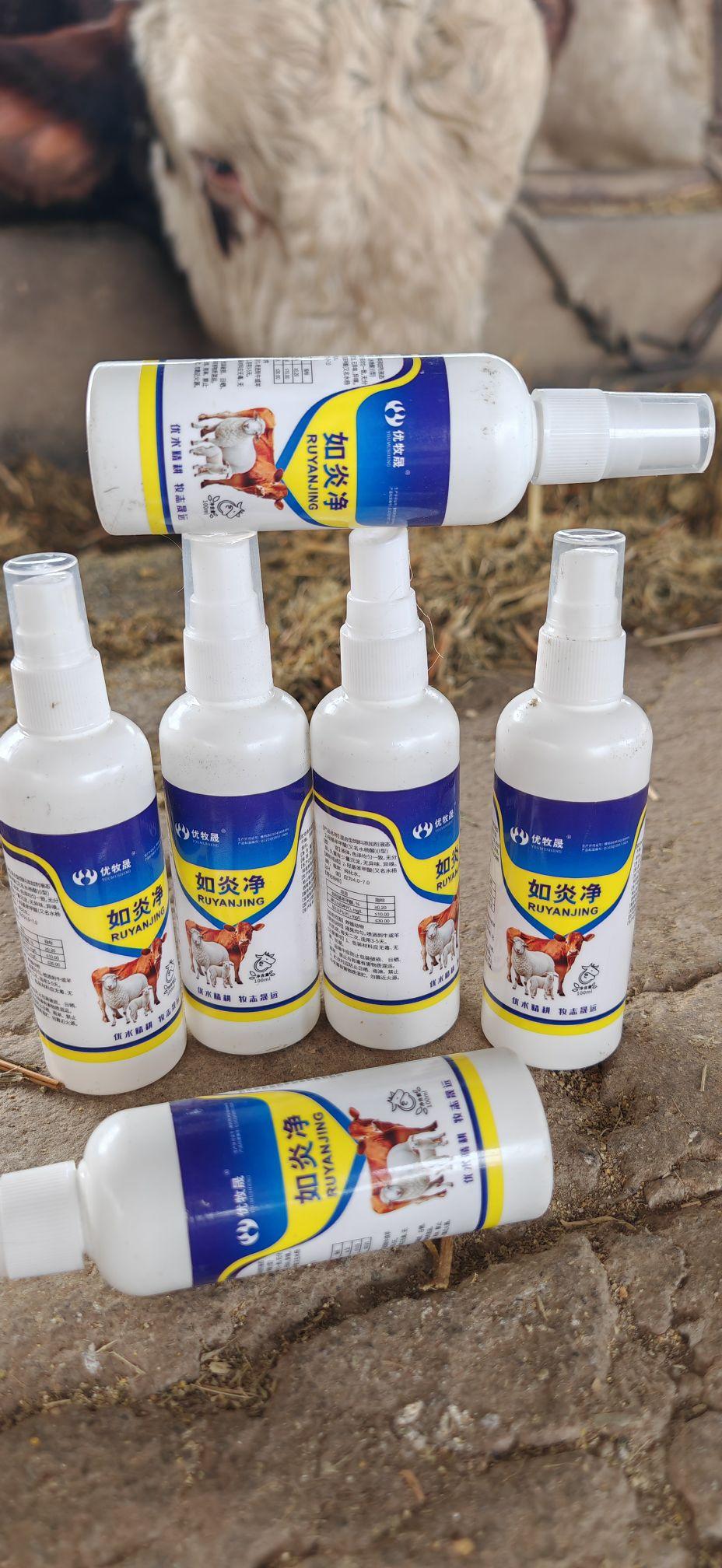 养牛人 牛羊养殖 农村养羊