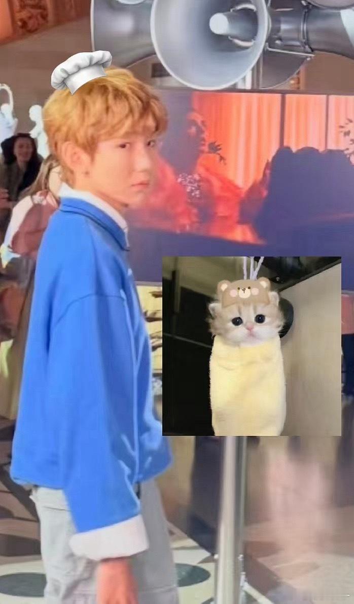 猫猫又咪咪呀！ 