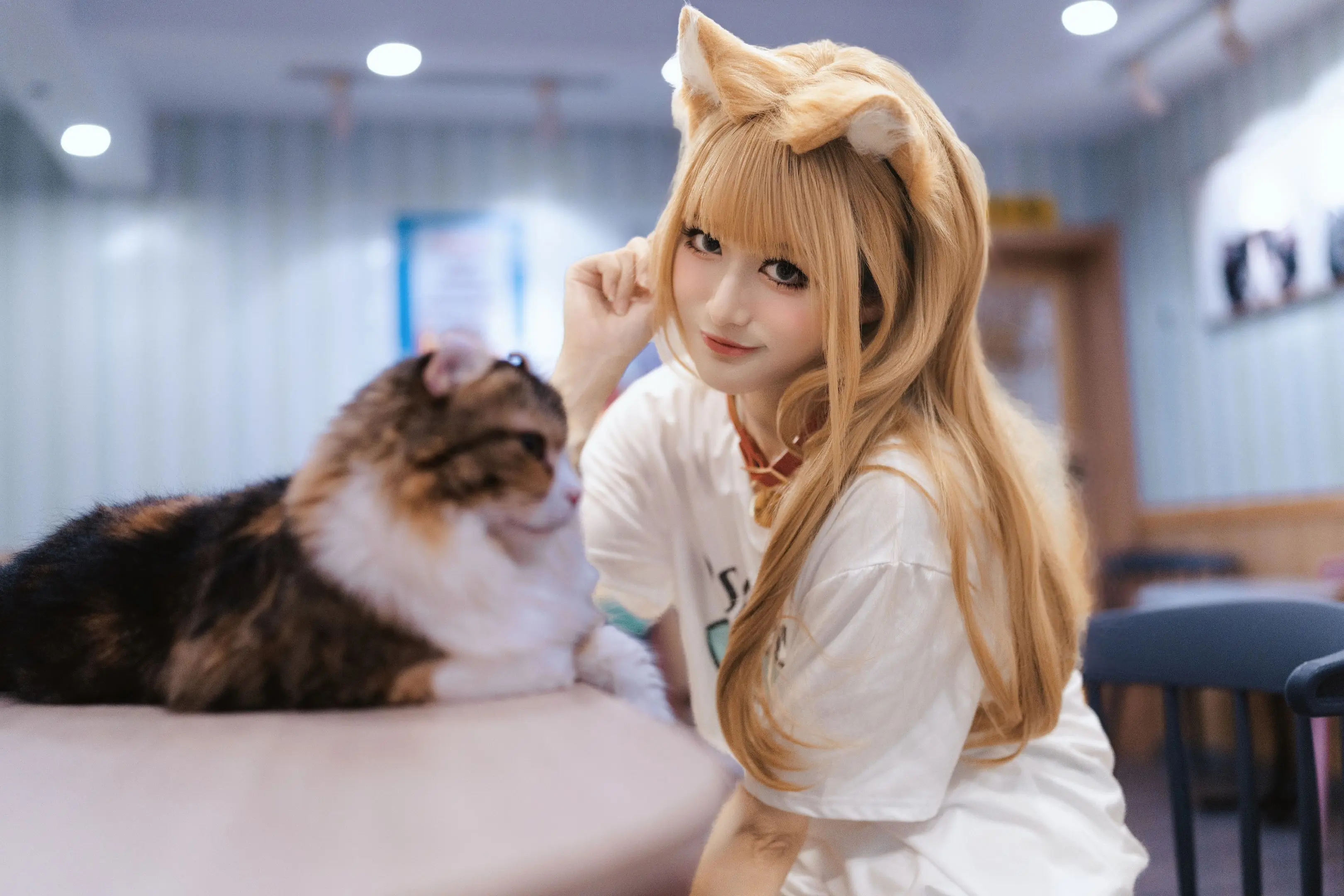 啊～是猫猫～小茂密真可爱