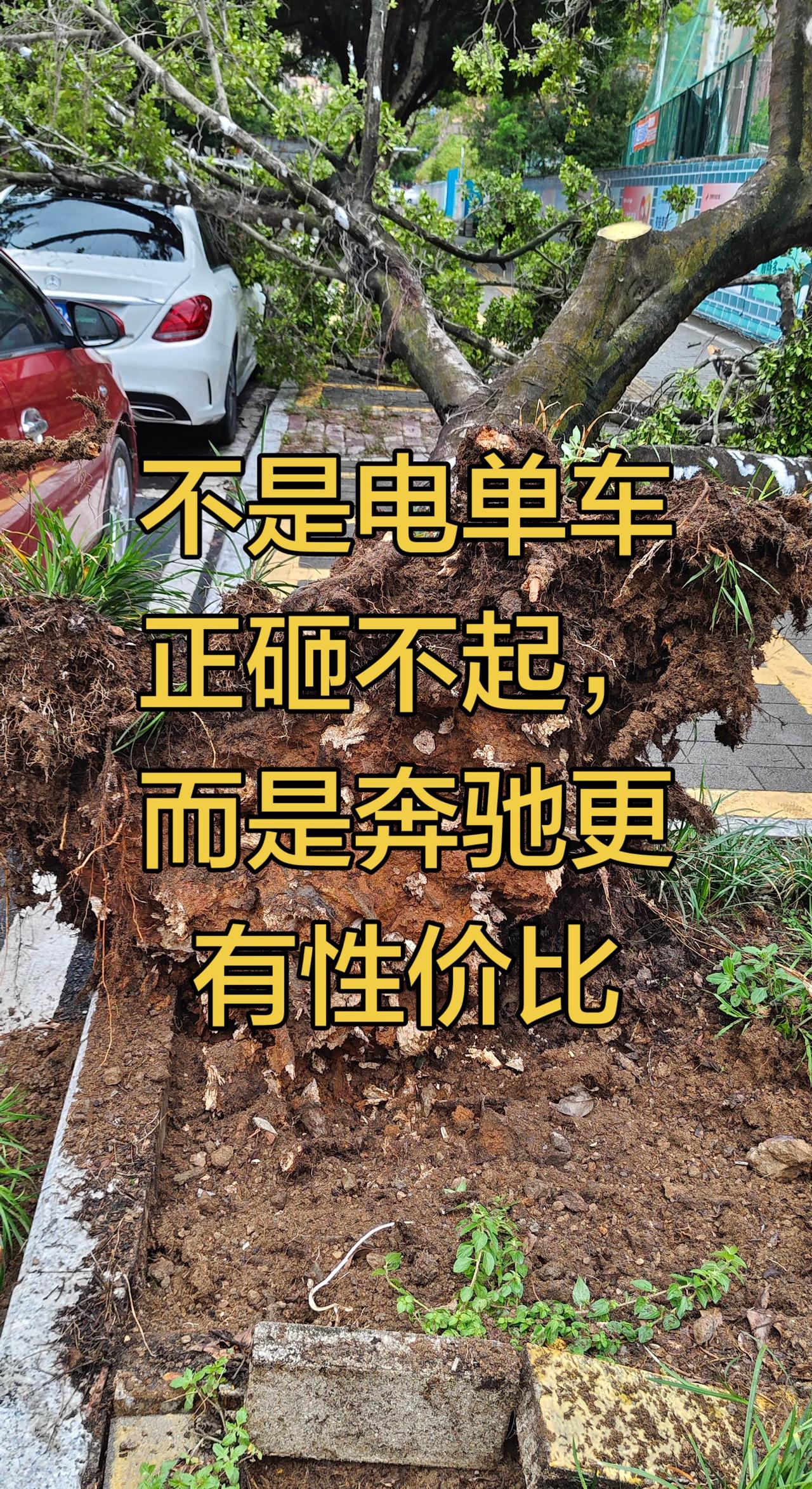 不是电动车砸不起，是奔驰更有性价比你见过吗 天灾面前无能为力