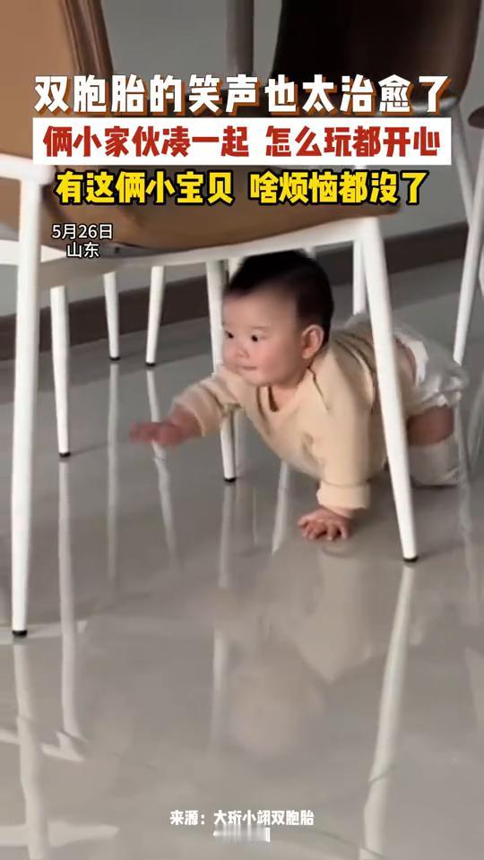 双胞胎的笑声也太治愈了，俩小家伙凑一起怎么玩都开心，有这俩小宝贝啥烦恼都没了。