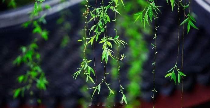 水逆退散  公益救援在行动每一个不曾起舞的日子，都是对生命的辜负。——尼采