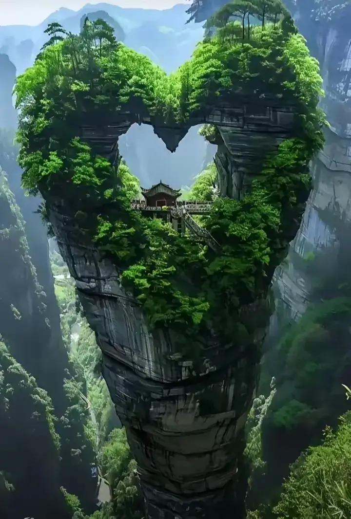弘一法师icon说：