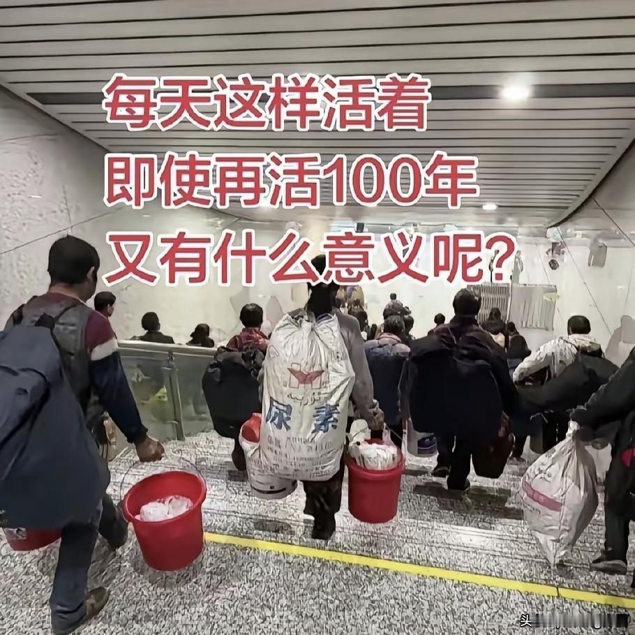 人如牛马，牛马如人，人活着的意义又能比牛马活着的意义更高级吗？在我看来未必，大自