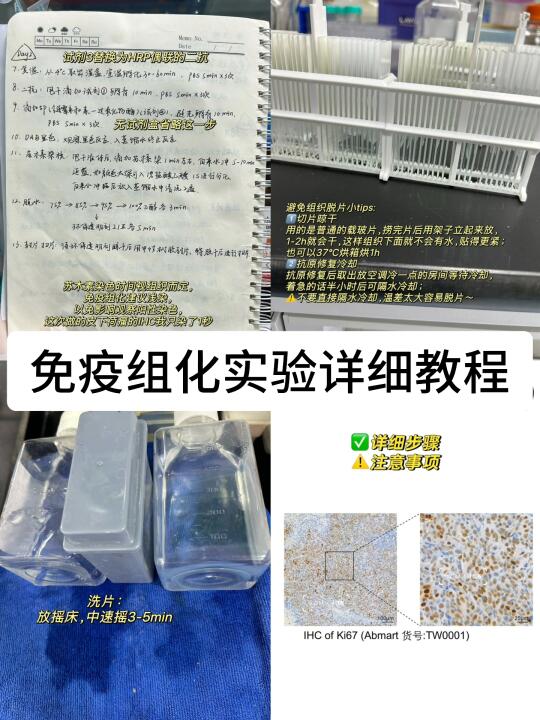 手把手教你做好免疫组化实验（IHC）❗
