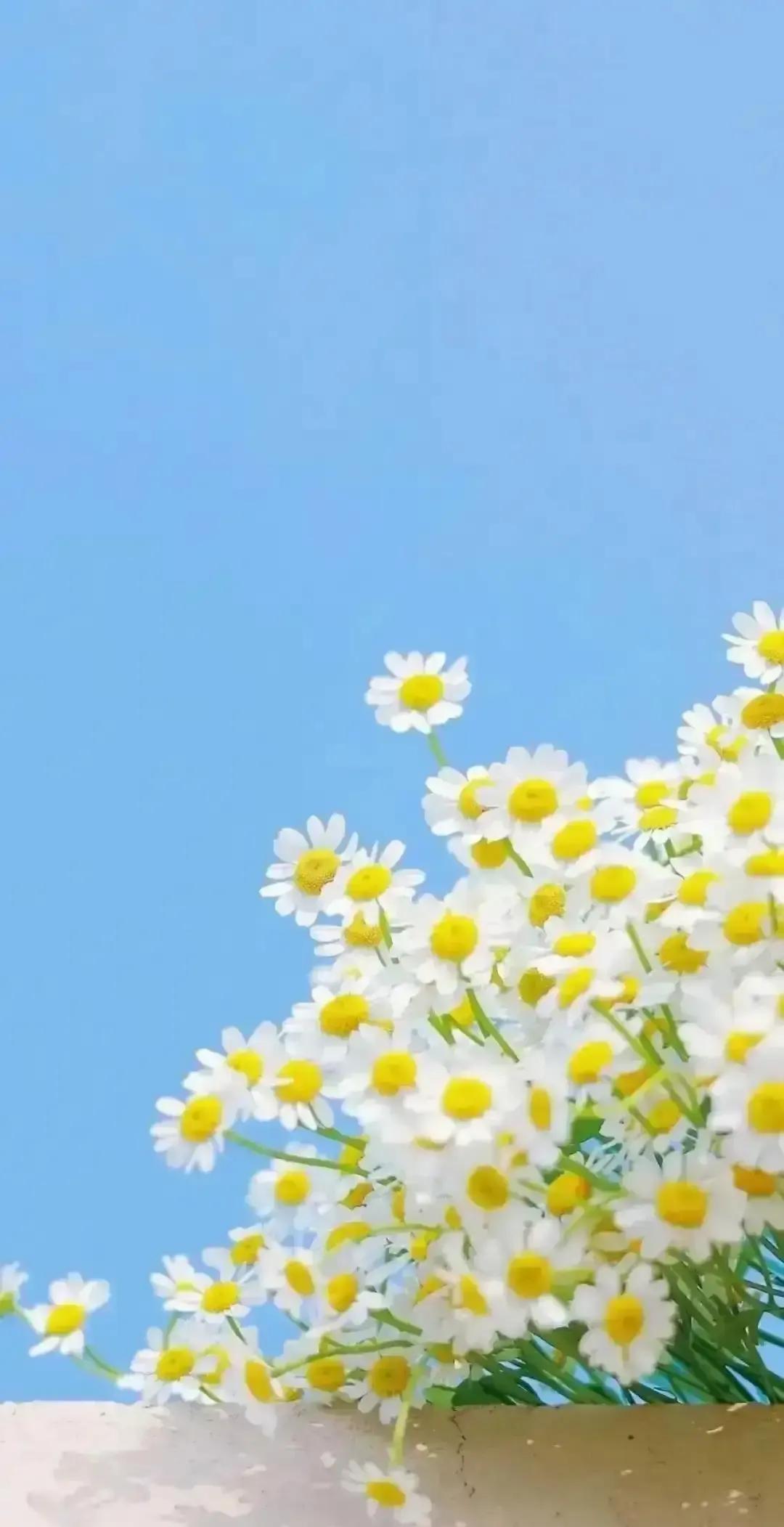 刷到一条短视频，把摩羯、金牛、处女、天秤打包成“晚年命超旺”四大天王，说他们会算