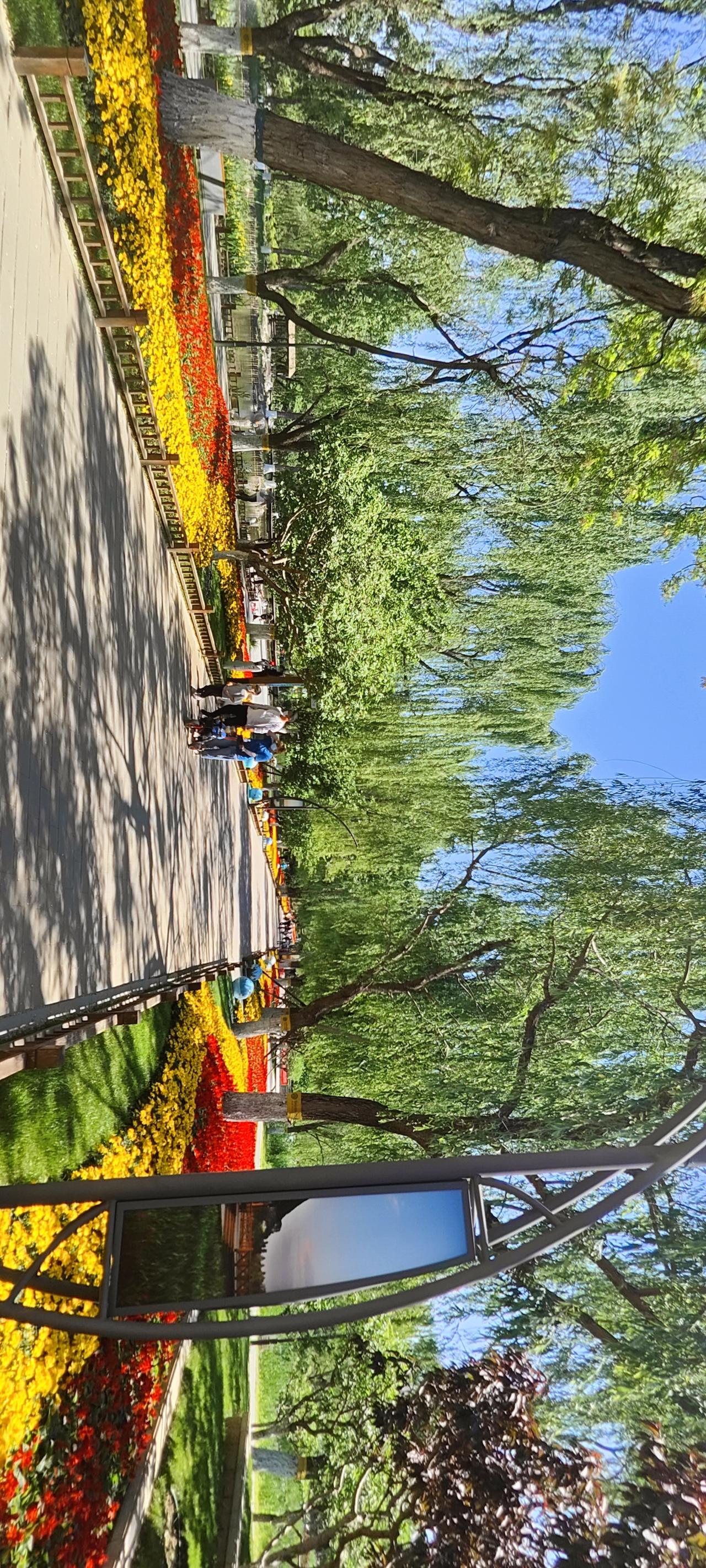 阳光洒满的公园小径，五彩斑斓的花海，漫步其中，享受美好时光。🌞🌸🍃