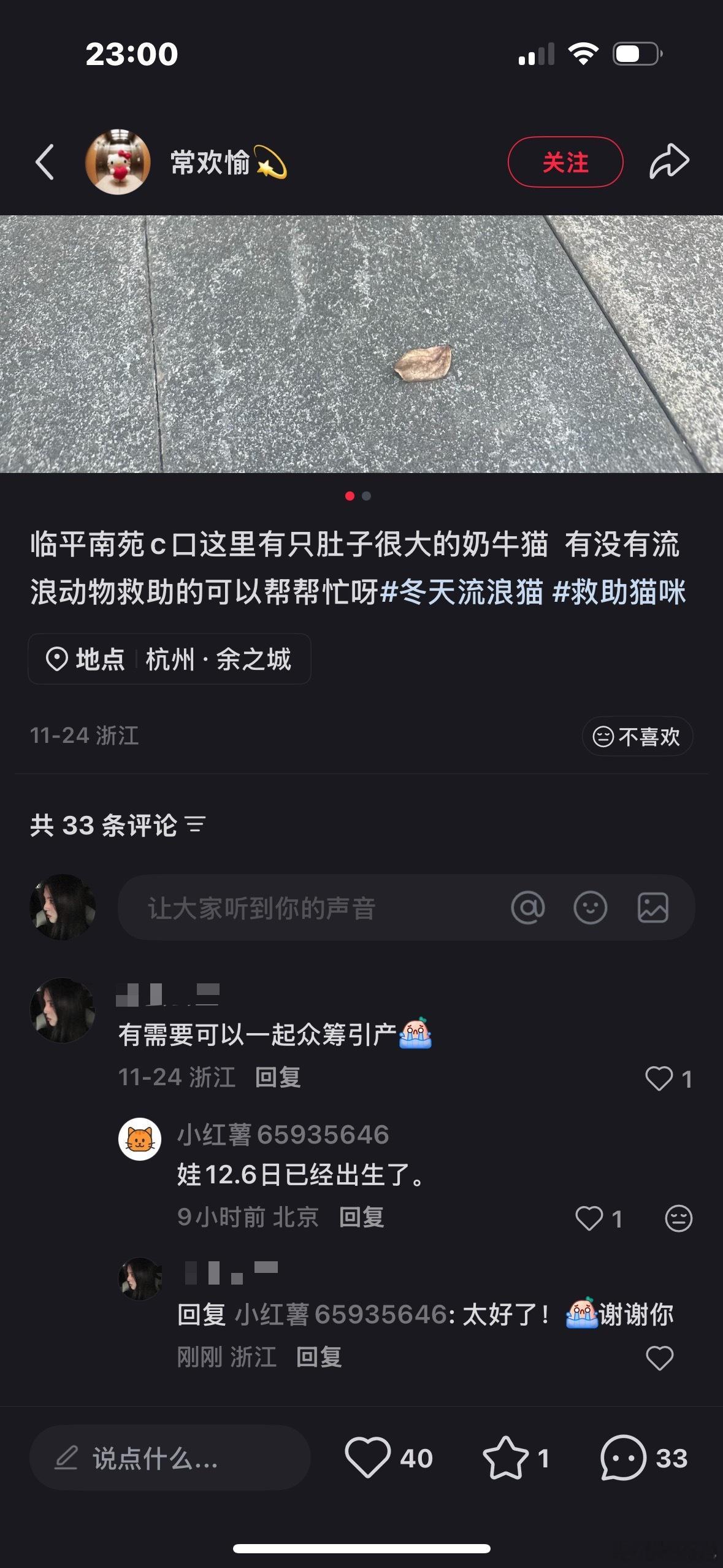 11月的评论没想到今天得到回复 之前特意去找了猫妈没找到 看到小猫一家顺利被救助