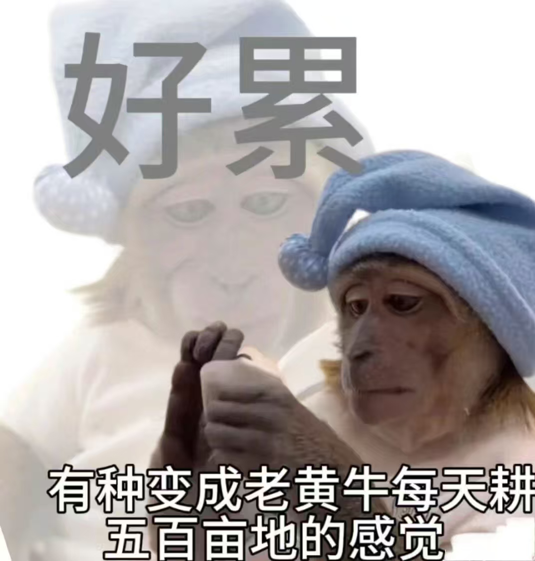 本来想简单吃点对付对付，吃着吃着发现自己不好对付！ 