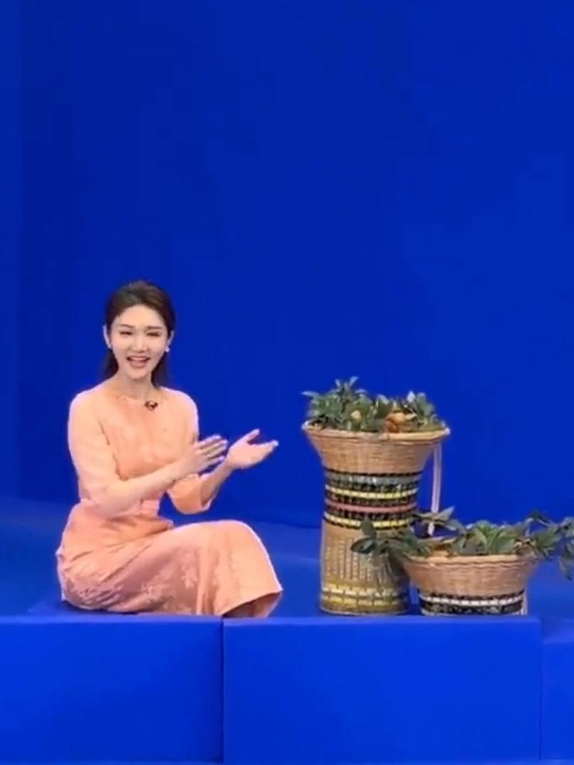 央视龙洋幕后花絮曝光龙洋语速