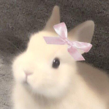 𝙱𝚞𝚗𝚗𝚒𝚎 ૮ ´• •` ა 