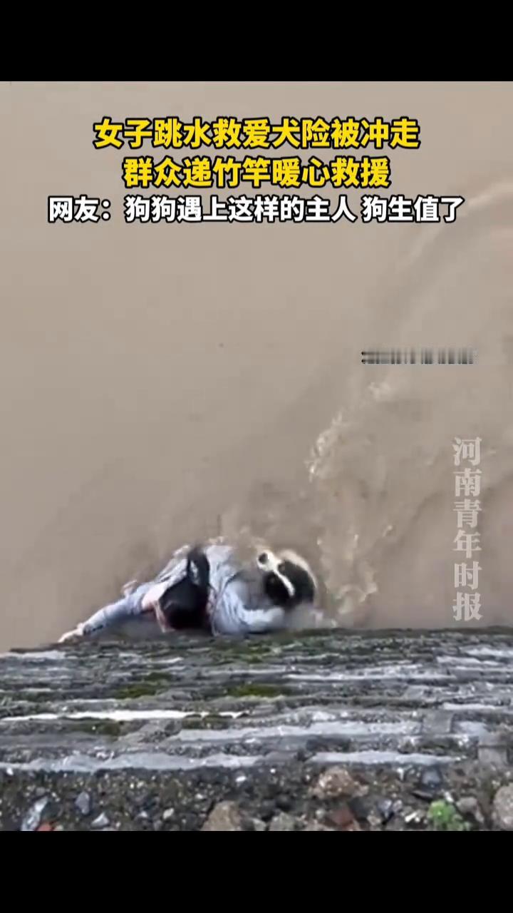 女子跳水救爱犬险被冲走，群众递竹竿暖心救援。
河南青年时报。
网友：狗狗遇上这样