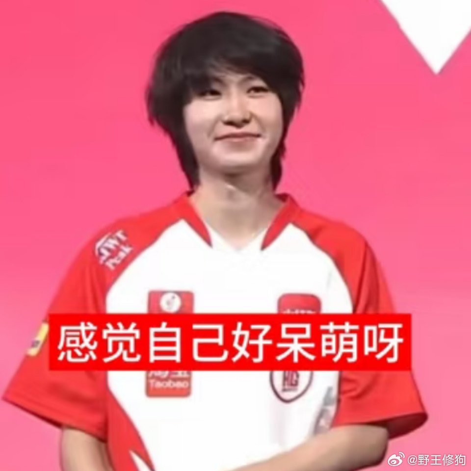 2026kpl夏季赛 WST官博发的图频哈哈哈大脑里最重要的是一诺kpl