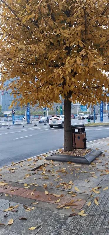 不抽烟不喝酒就是好男人吗？凡事没有绝对，不能以抽烟喝酒去评判任何一个人！