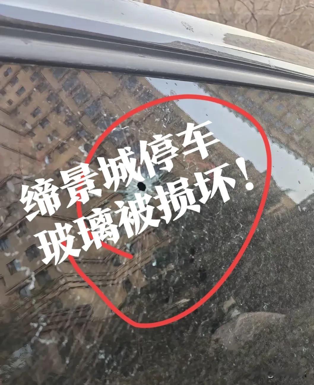 【缔景城，监控坏了？】网友发文吐槽，桥西区缔景城停车时，车玻璃被钢珠打了个眼，太