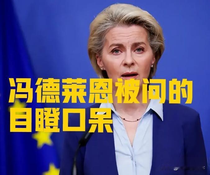 冯德莱恩为什么会被问得装聋作哑、低头沉默？

在12月初欧盟的一次内部会议上，冯