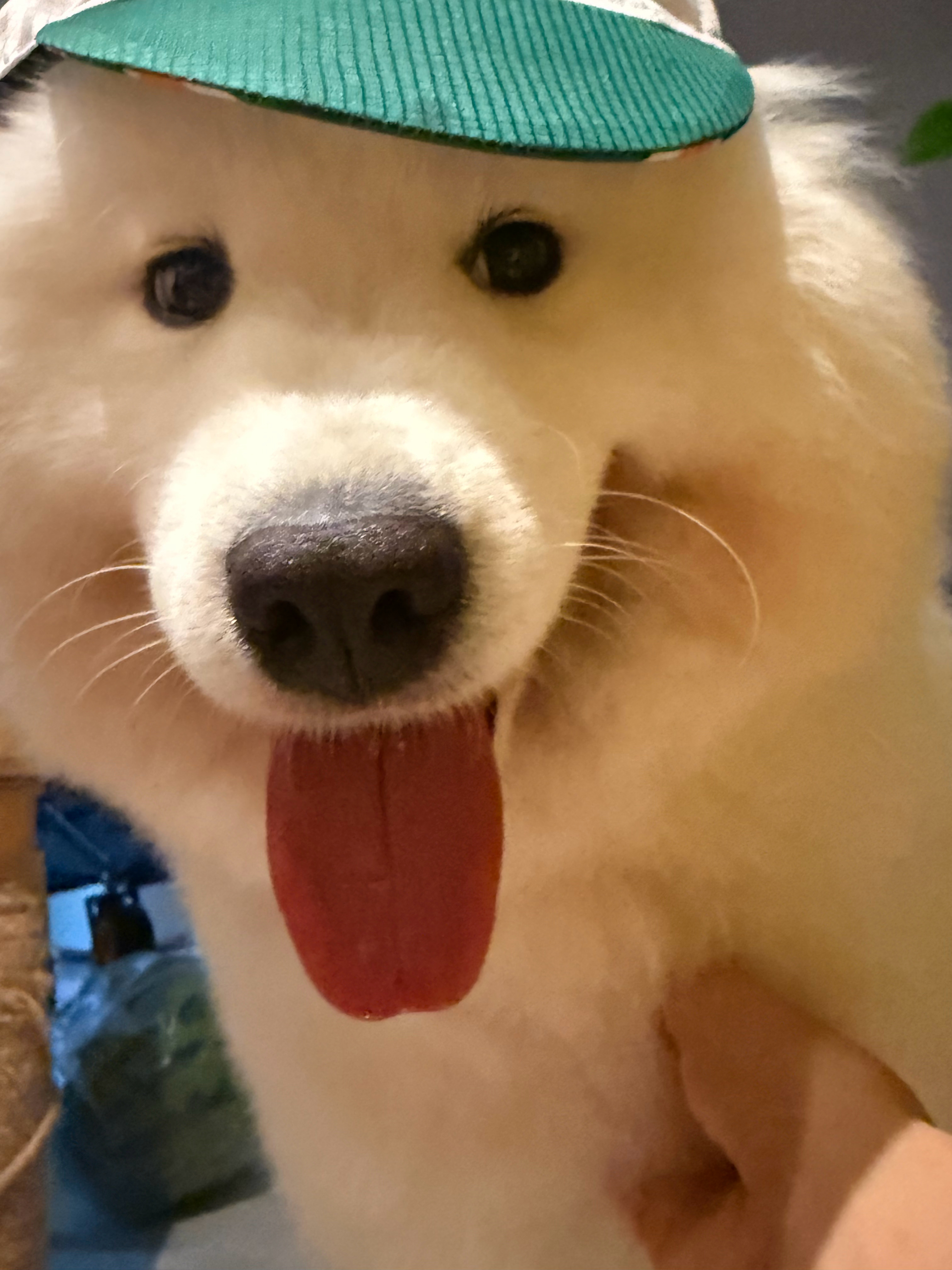 小心点吧！！我开始上班了！ 