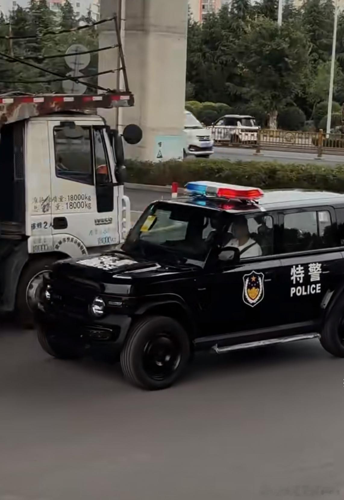 选黑色还是白色？我与汽车的日常 ​​​