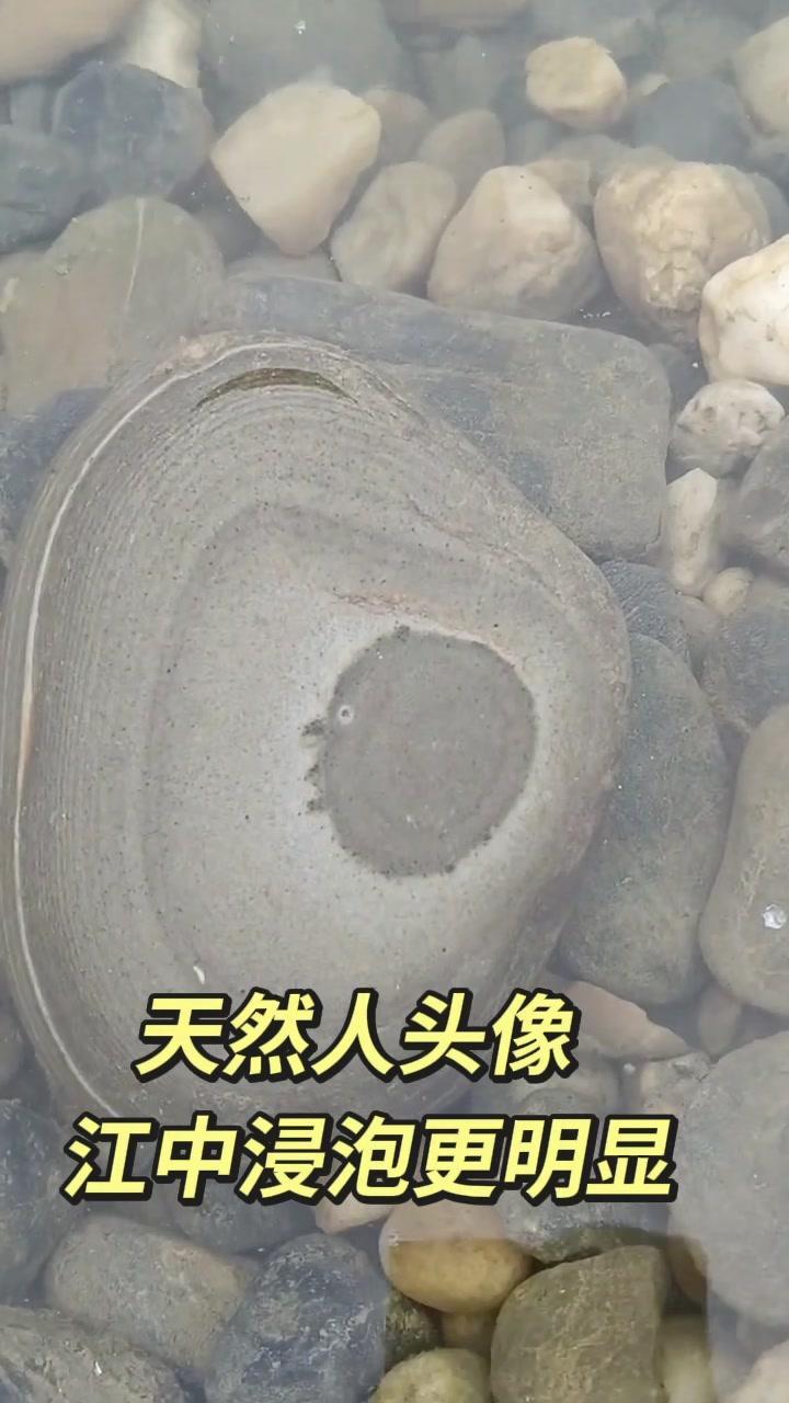 😨汉江捡到“人头像”奇石？真相竟然是…汉江岸边捡石意外发现一块奇石，浸泡后竟显
