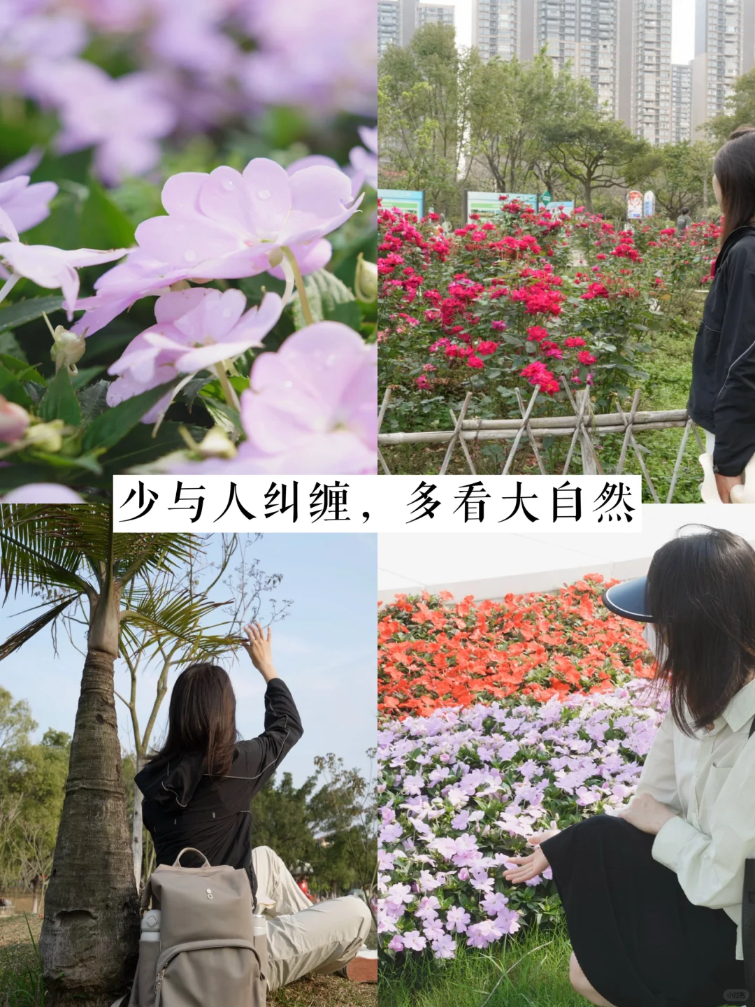 公园20分钟的好处，极简生活后我才懂得