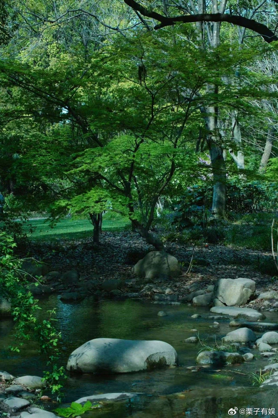 赵丽颖周一风景照赵丽颖工作室风景博主赵丽颖工作室风景博主，好看，[心] ​​​