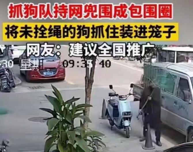 义乌抓狗队我看了真的想拍手叫好！

说实话，每次刷到义乌抓狗队日常巡逻的视频，我