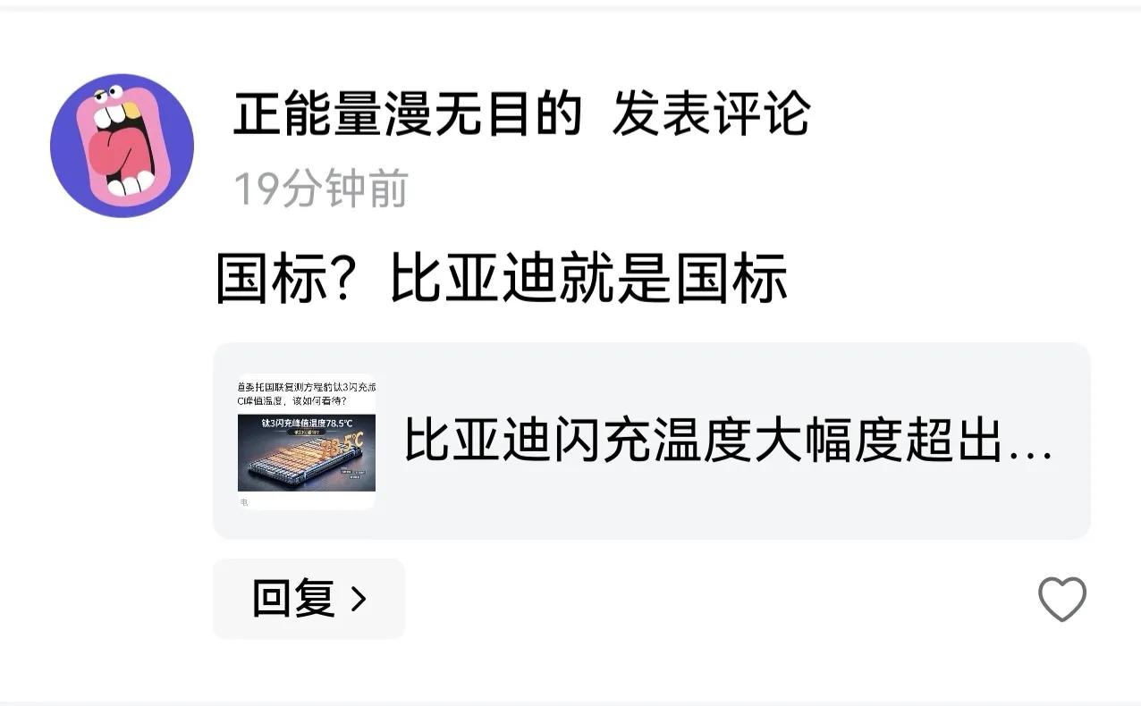 有人说，比亚迪就是国标，这明显是黑子。

比亚迪是电动车行业的领头羊，大概率是电