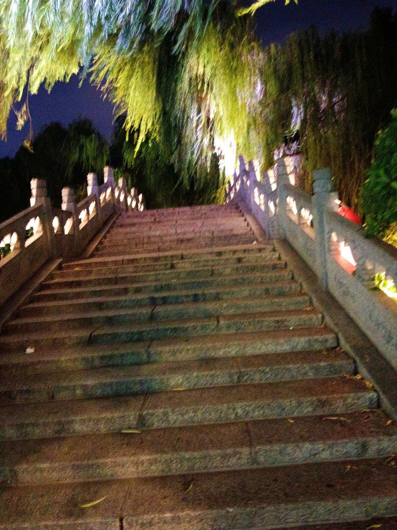 路是走出来的，还是选择出来的呢路，一半是选择，一半是行走。选择定方向，行走见风景
