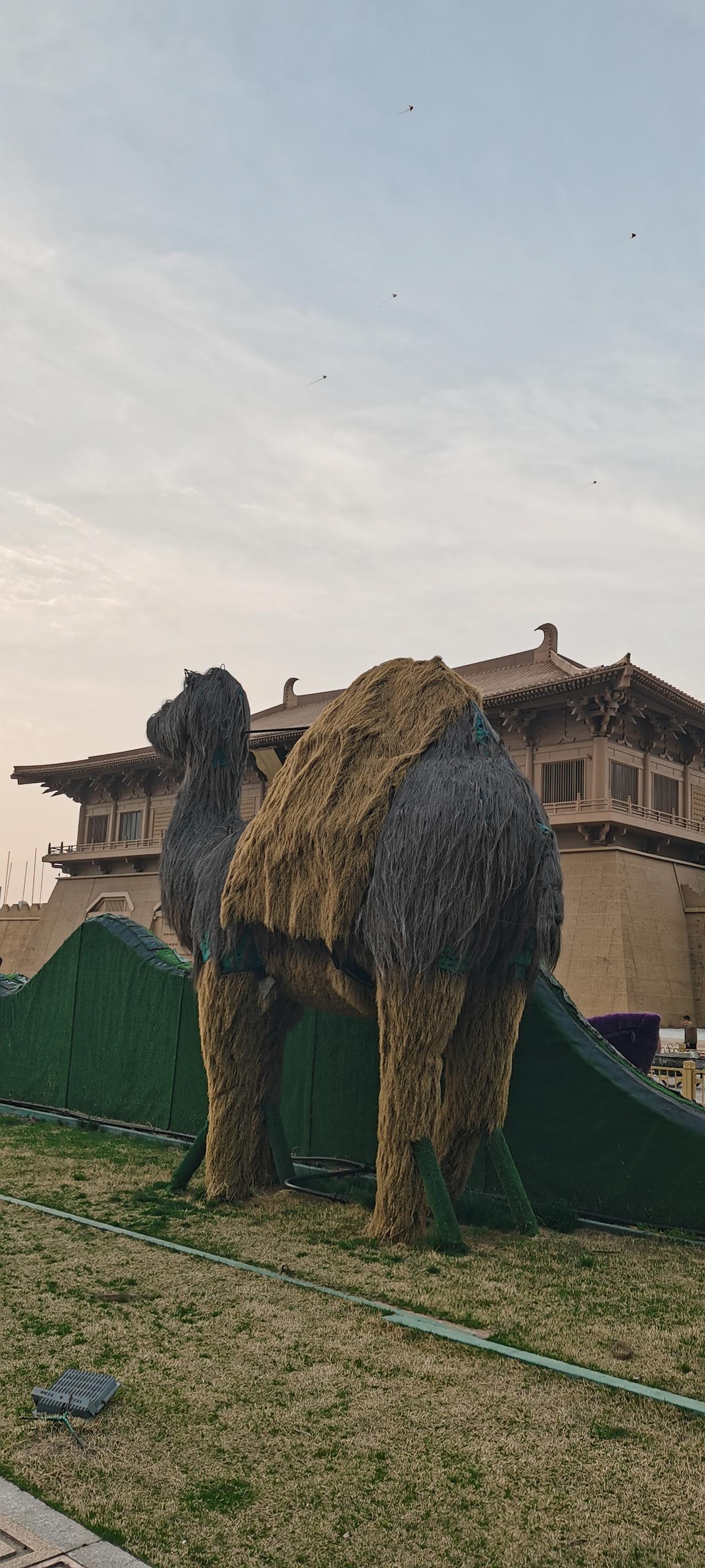 分享一张你最近拍的西安一角的照片