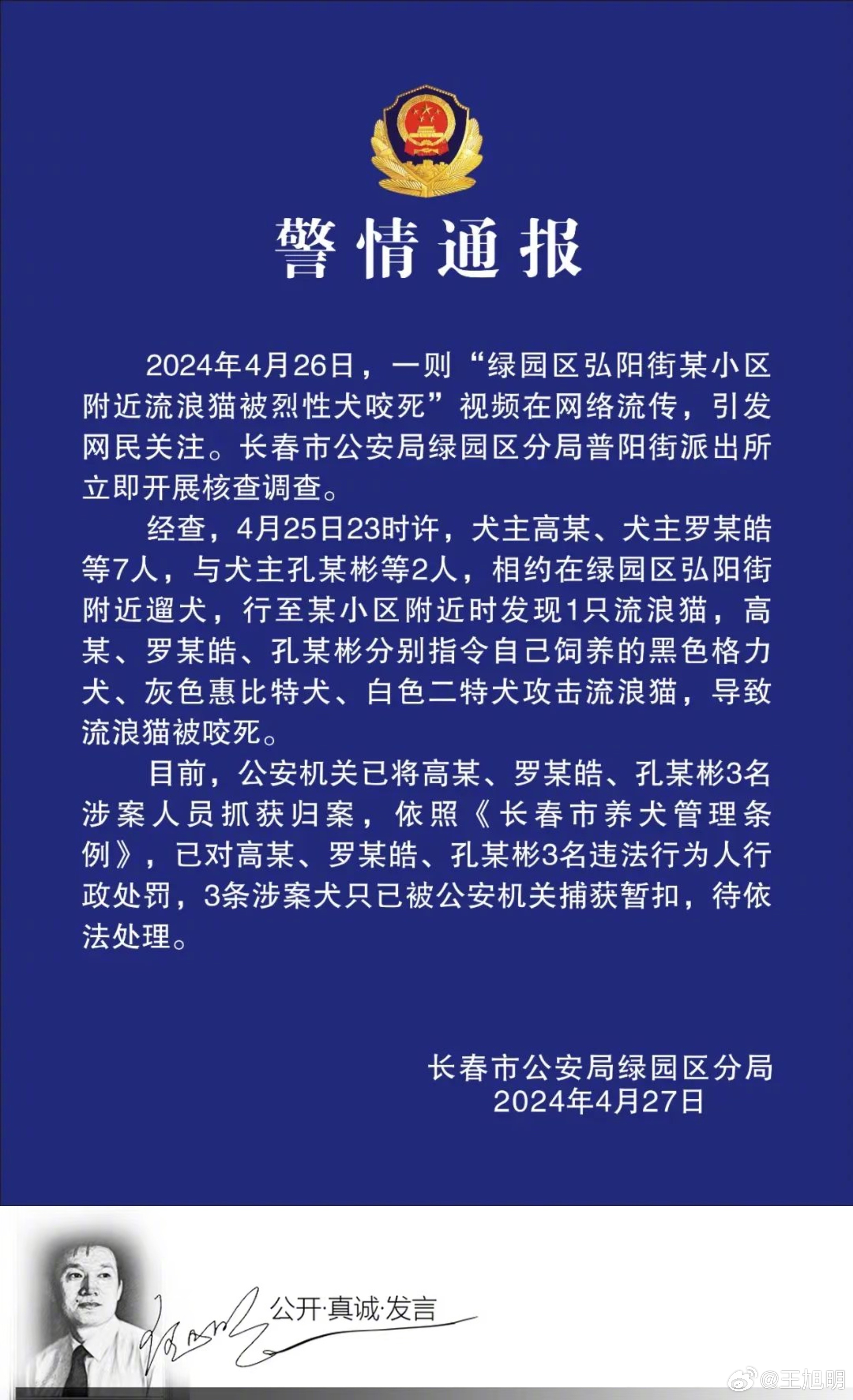 #明说真教育##多名男子驱使烈犬撕咬流浪猫# 据报道，长春多位烈犬主人放任烈犬咬