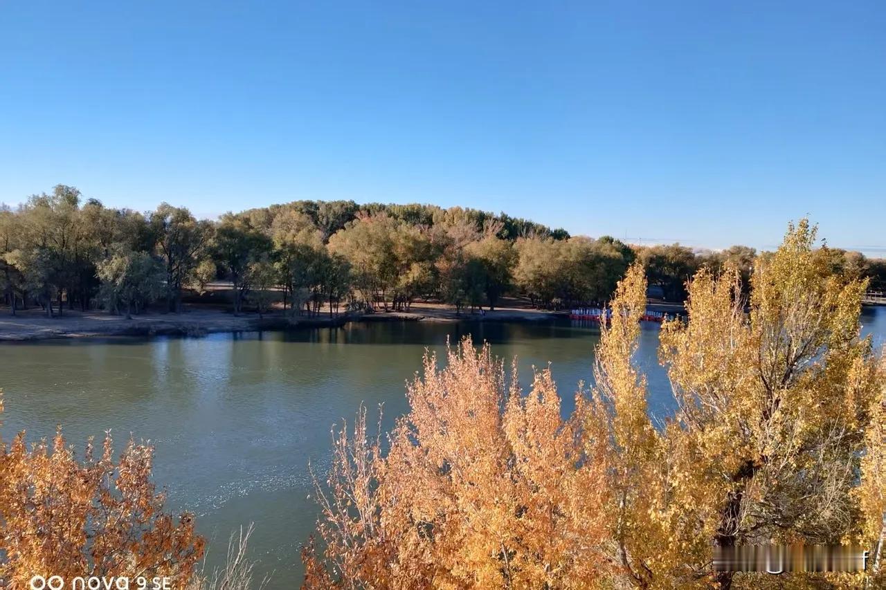 丹霞碧水，醉倒北疆了！😵
                  微头条
友友多次